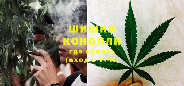 сатива Абаза