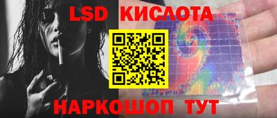индика Пенза