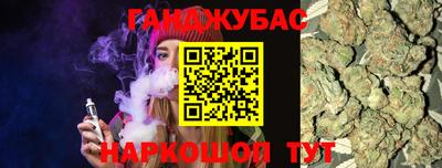 индика Пенза