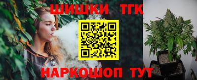 индика Пенза