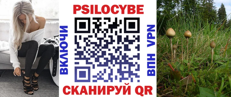 где купить наркоту  KRAKEN ссылки  Псилоцибиновые грибы прущие грибы  Соликамск 